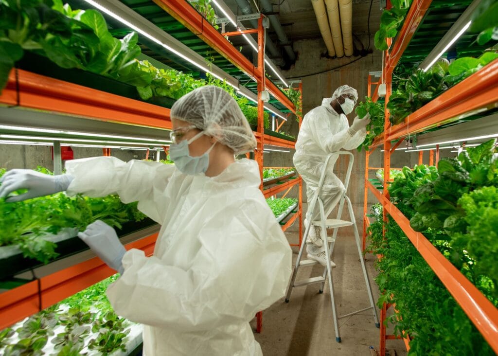 From Kuala Lumpur to Wall Street: Saturn Agtech’s High-Rise Farms Aim for a Nasdaq Liftoff